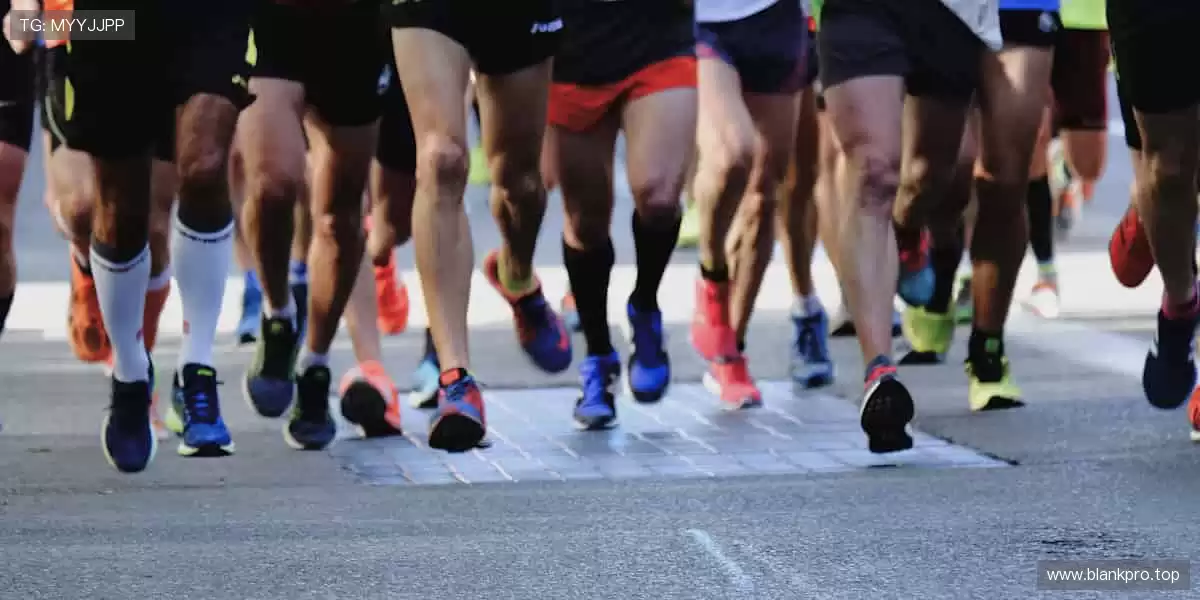 🎯专业装备,助你突破极限边界!